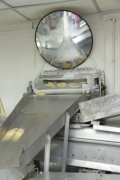Fish Processing - Industrial Location Photography